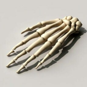Model 3D kości dłoni