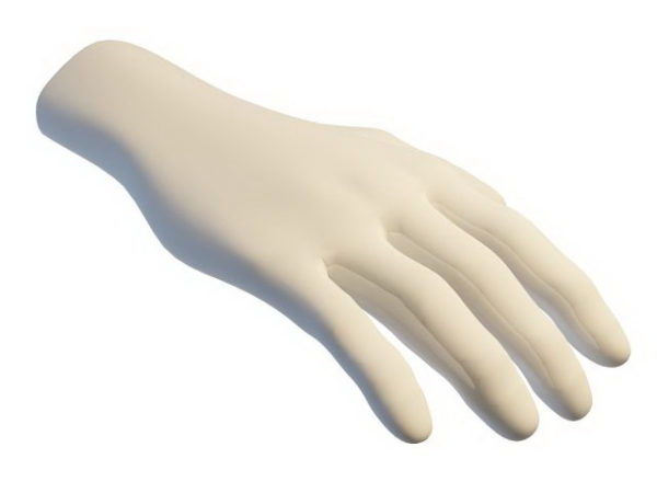 Fashion Store Hand Mannequins Free 3d Model - .Max, .Vray - Open3dModel