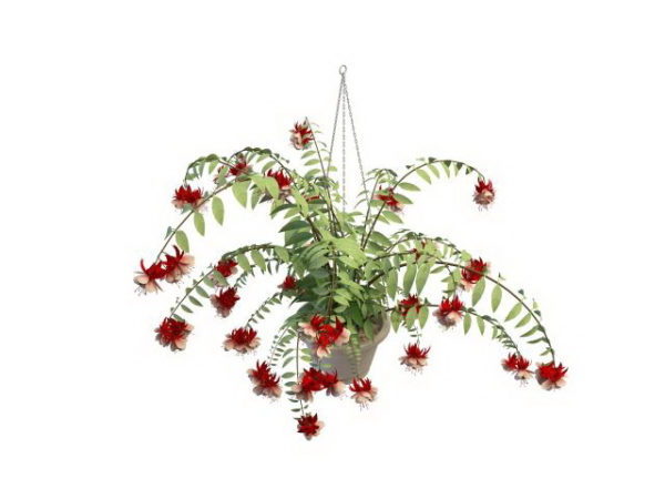 Escepticismo Interpretativo Simpático Inicio Modelo de planta colgante de flores gratis 3d - .Max, .Vray -  Open3dModel