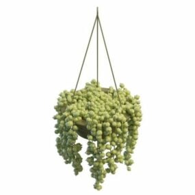 Hanging Indoor Succulent Planter 3d model