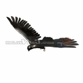 مدل سه بعدی Animal Hawk Eagle