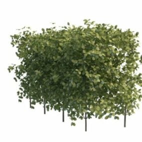 Groene hagen voor tuin 3D-model