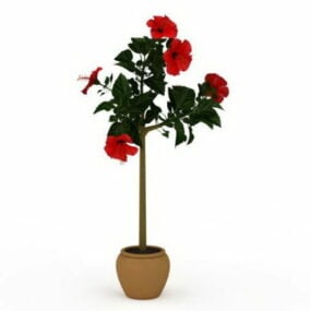 Pot Pohon Sutra Bunga Kembang Sepatu model 3d
