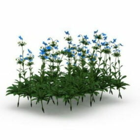 نموذج ثلاثي الأبعاد لنبات الخشخاش الأزرق في جبال الهيمالايا في الهواء الطلق