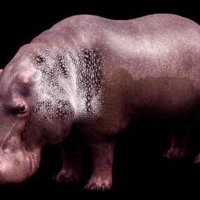 Animal hipopótamo modelo 3d