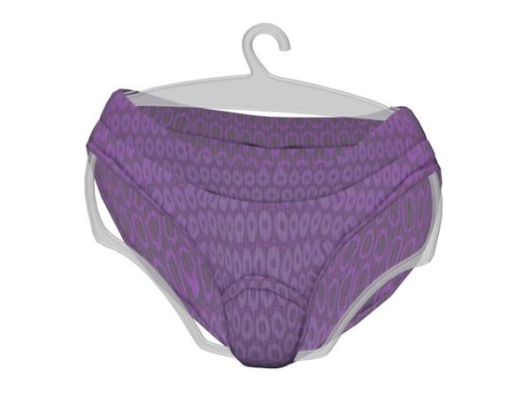 Hipsters Underwear Women Clothing Free 3d Model - .Max, .Vray - Open3dModel