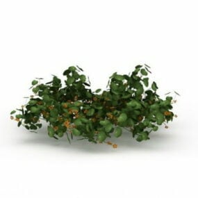 정원 허니 식물 꽃 3d 모델