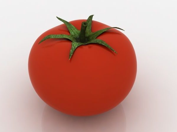 新鮮な温室トマト