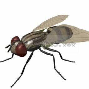 Modello 3d dell'animale domestico della mosca della casa