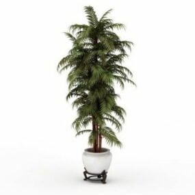 Indoor Bamboo Palm Tree 3d model