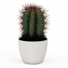 Modello 3d di cactus in vaso per interni domestici