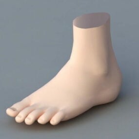 Modello 3d del piede umano