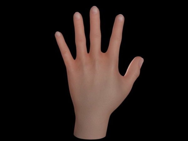 Anatomia ihmisen käsi