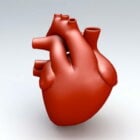 Corazón humano