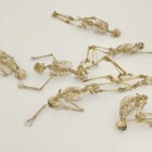 Human Skeletons Pack
