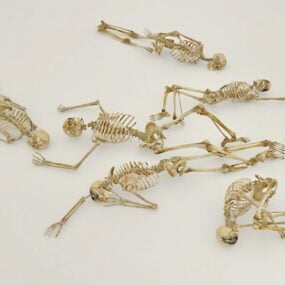 Pack de esqueletos humanos modelo 3d