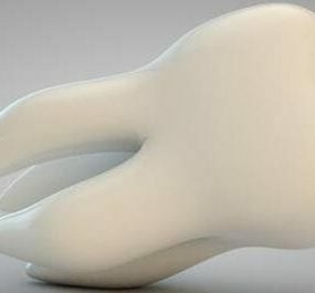 Modelo 3d realista de osso de dente humano