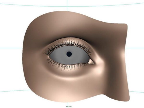 Anatomy Human Eye Free 3d Model Open3dmodel 185095