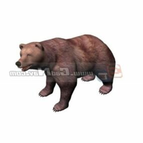 Realistic Bear Walking 3d model