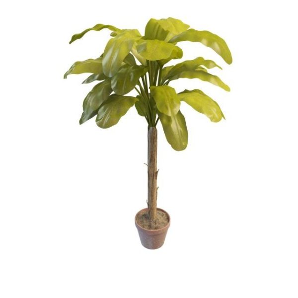 Potted Banana Tree Free 3d Model Max Vray Open3dmodel 194584