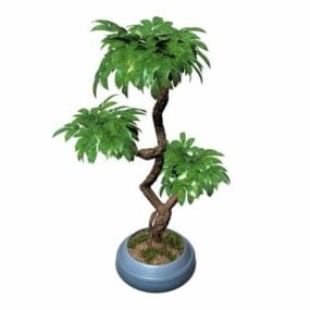 3д модель комнатного дерева бонсай