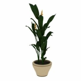 Office Indoor Flowering Plant 3d model