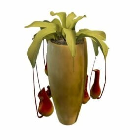 Indoor Potted Ornamental Plant 3d model