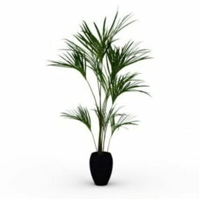 Indoor Potted Palm Tree 3d model