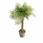 Binnen Ingemaakte Kleine Palmbomen