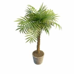 Modello 3d di piccole palme in vaso per interni
