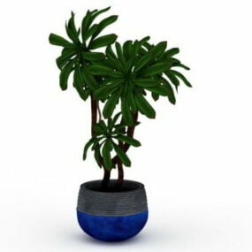Simple Indoor Tree Plants 3d model