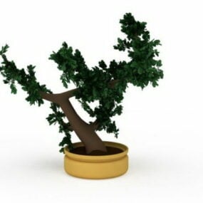 Modello 3d dell'albero bonsai da interno giapponese