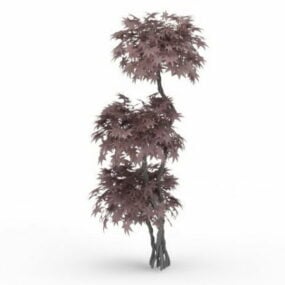 3д модель декоративного дерева японского растения клен
