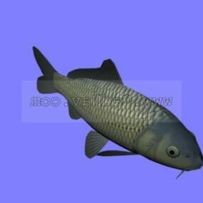 Mô hình cá Koi động vật 3d
