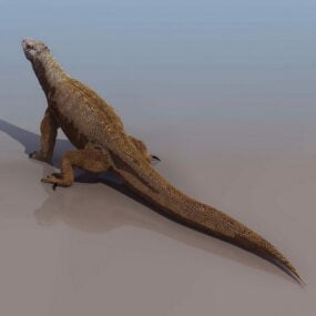 Τρισδιάστατο μοντέλο Indian Komodo Dragon