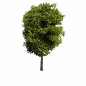 Modelo 3d de árvore de paisagem de jardim