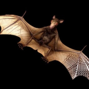 Modelo 3d de morcego grande selvagem