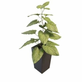इनडोर होम बड़े पत्तों वाले पौधे 3डी मॉडल