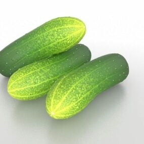 Lebanese Cucumber Vegetable 3d model