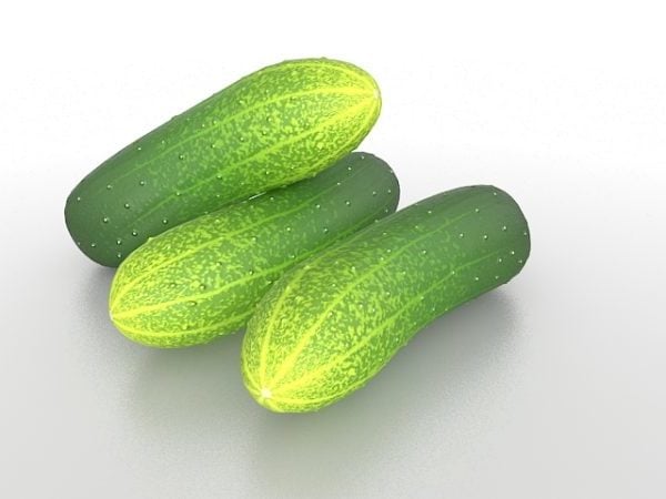 Lebanese Cucumber Vegetable