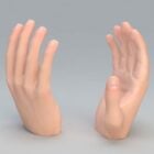 Human Left Hand