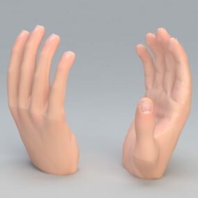 Modelo 3d da mão esquerda humana