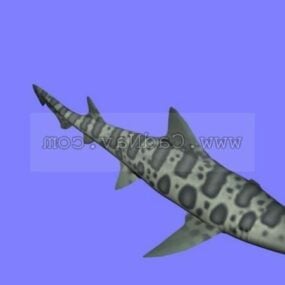 표범 상어 동물 3d 모델
