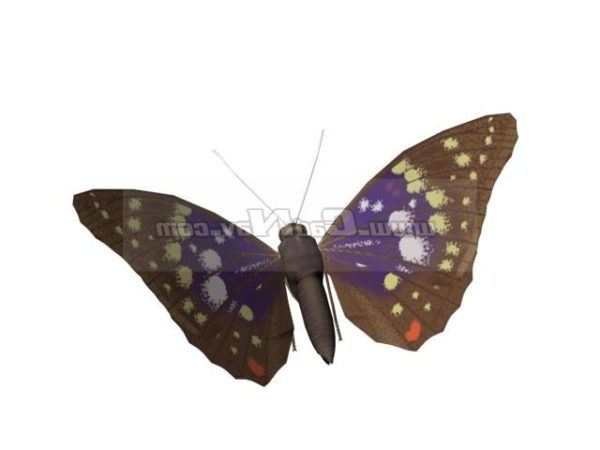 Lepidópteros Animales Mariposa