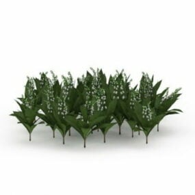 Udendørs liljekonval plante 3d model