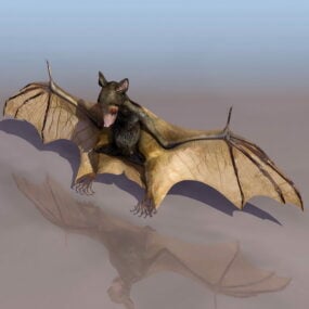 Model 3d Kewan Little Brown Bat