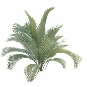 Majesty Palm Garden Tree דגם תלת מימד