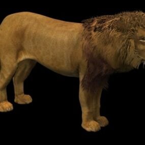 Mô hình động vật sư tử đực 3d