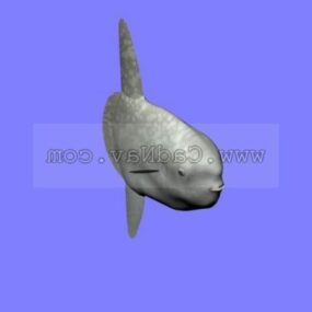 동물 Manbou Sunfish 3d 모델