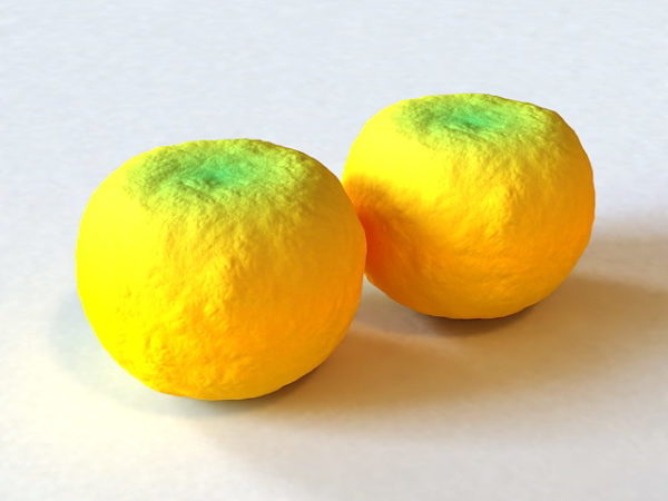 Ruoka Mandariini Appelsiinit